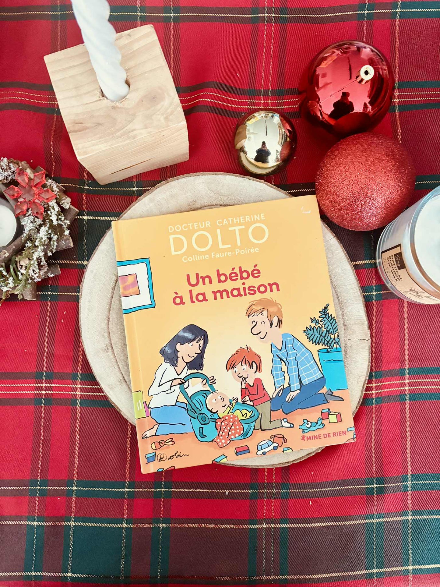 " Un bébé à la maison" de Docteur Catherine Dolto et Colline Faure-Poirée