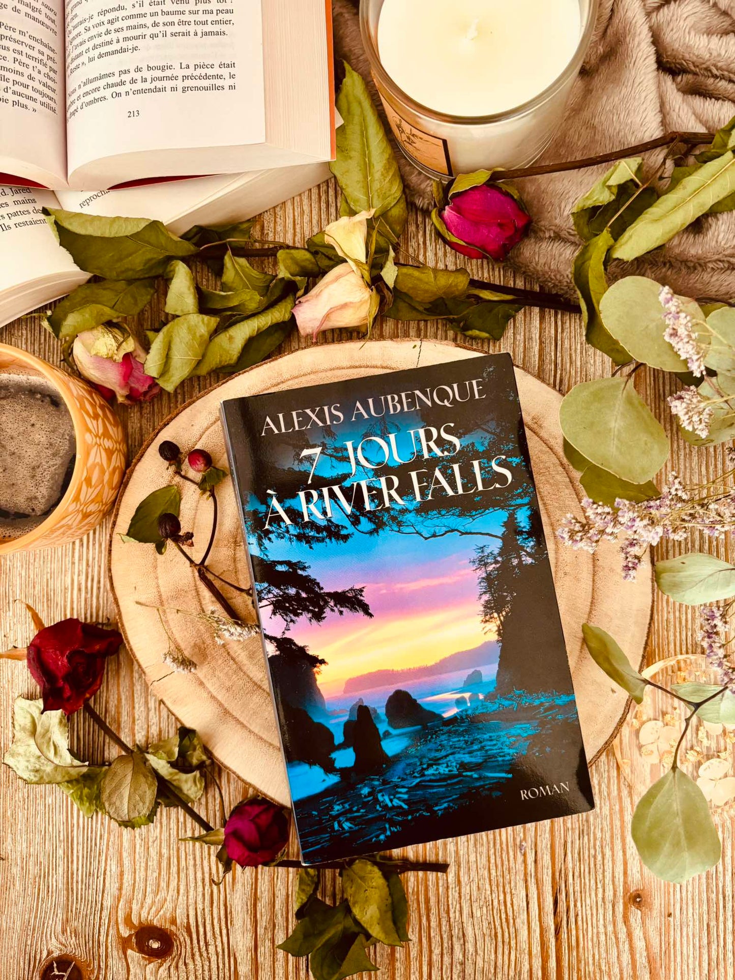 " 7 jours à River Falls" de Alexis Aubenque