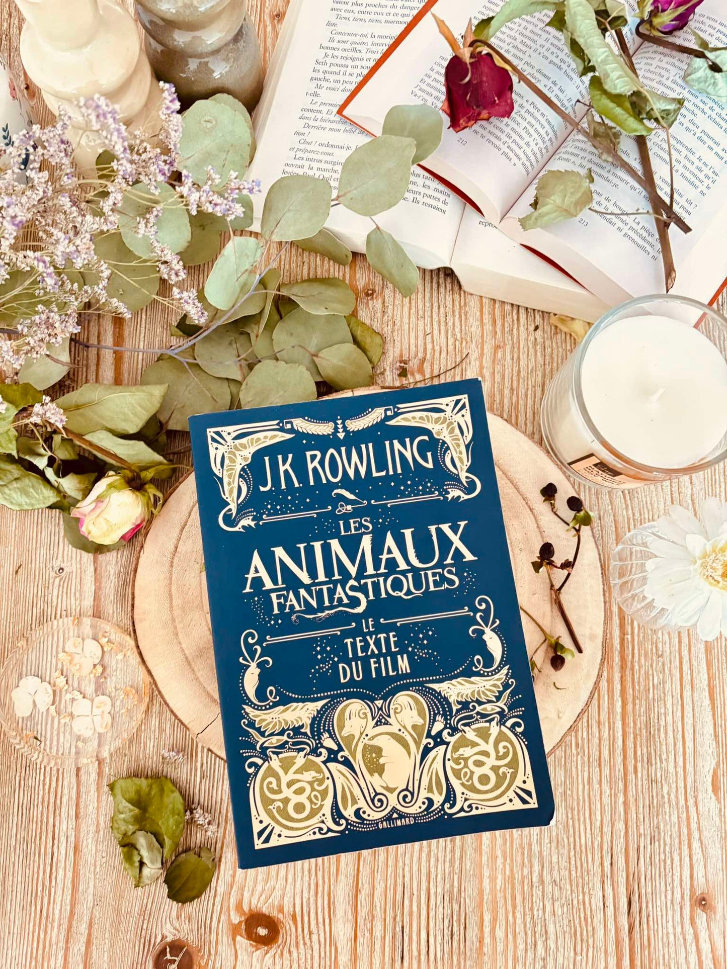 " Les Animaux Fantastiques " - Le texte du film – J.K. Rowling