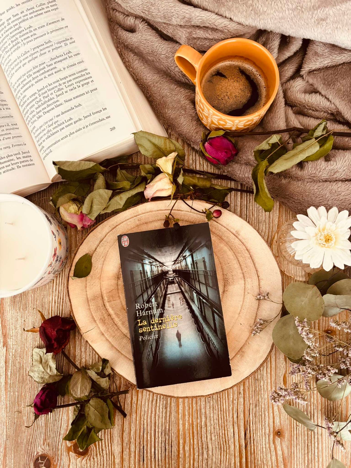 " La dernière sentinelle" de Robert Harnum