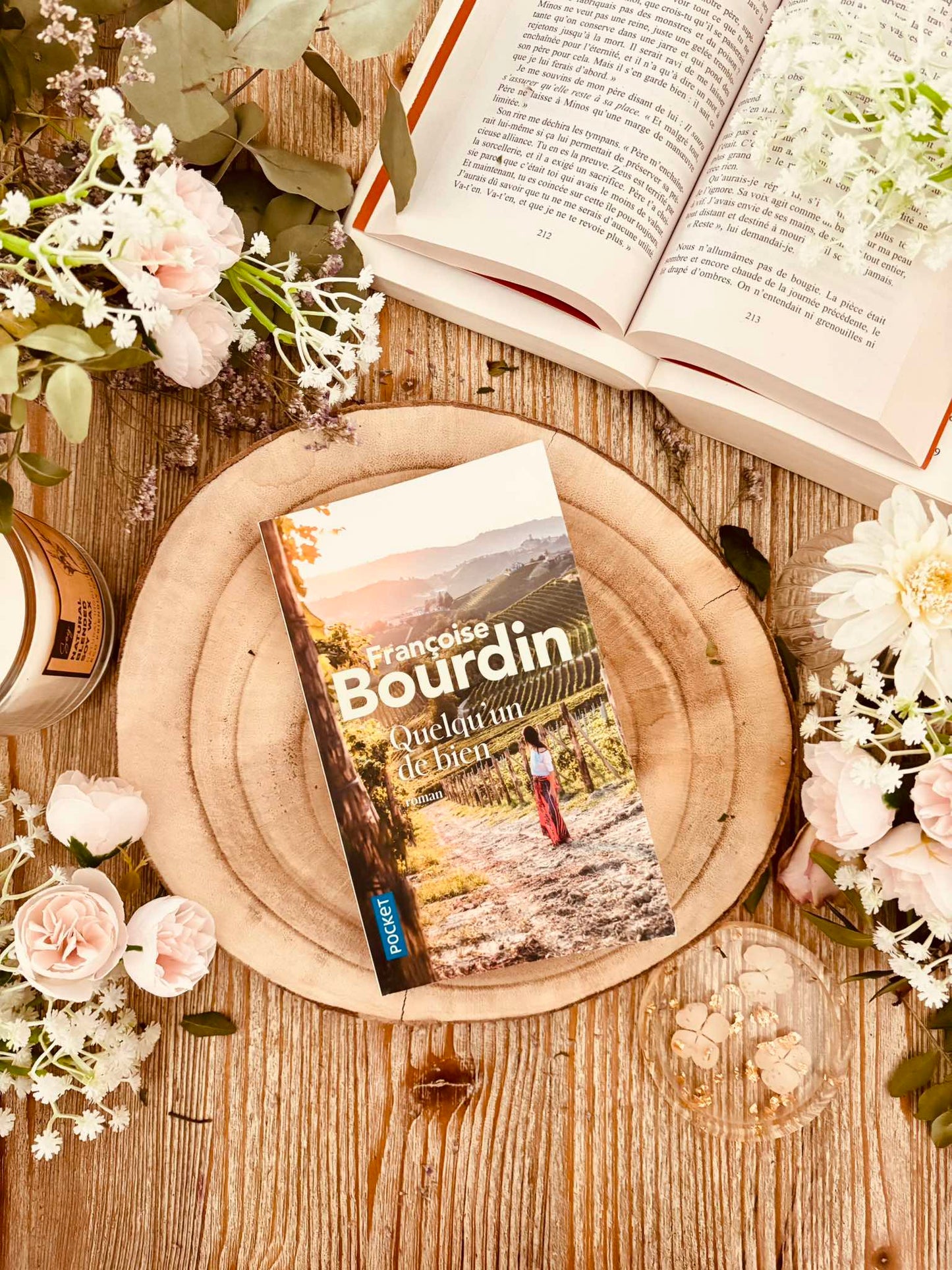 " Quelqu'un de bien " de Françoise Bourdin