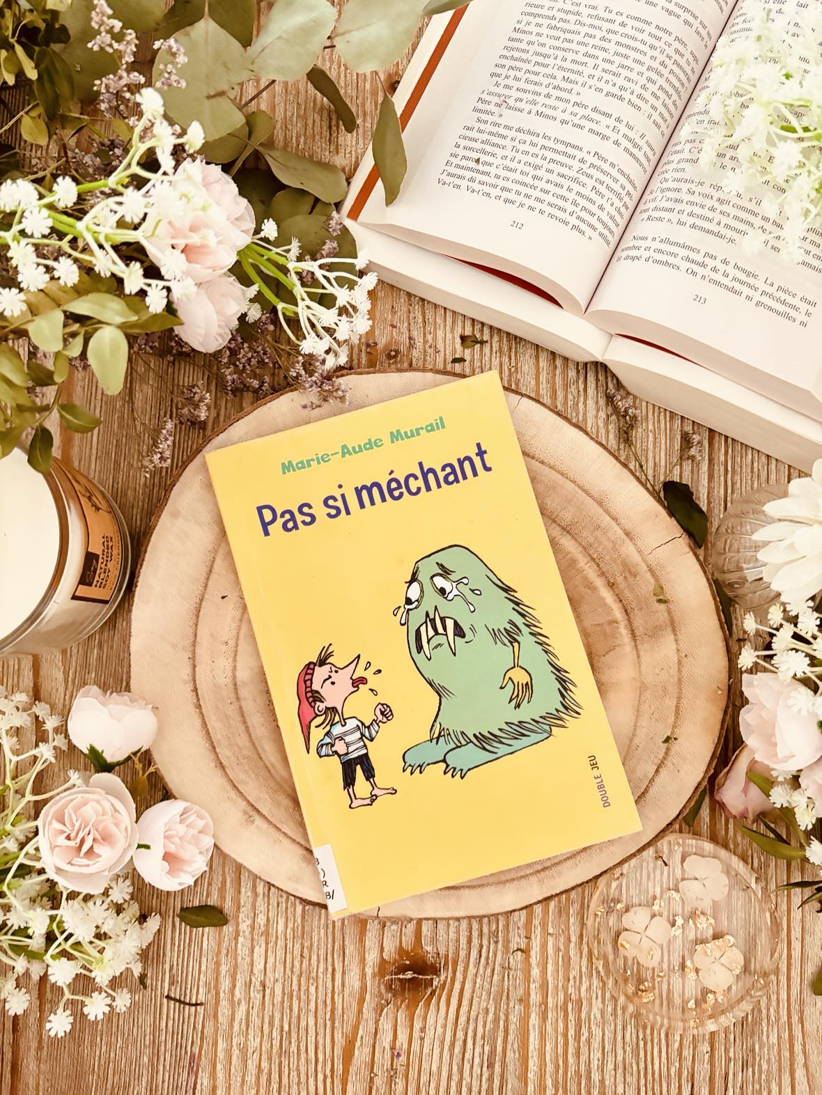 " Pas si méchant " de Marie-Aude Murail