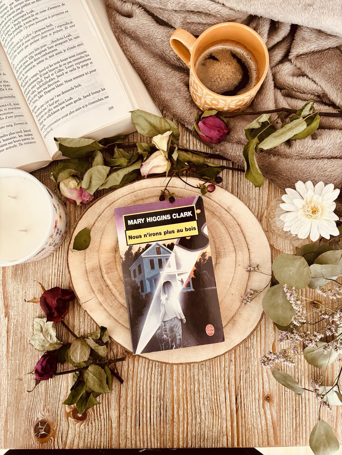 " Nous n'irons plus au bois " de Mary Higgins Clark