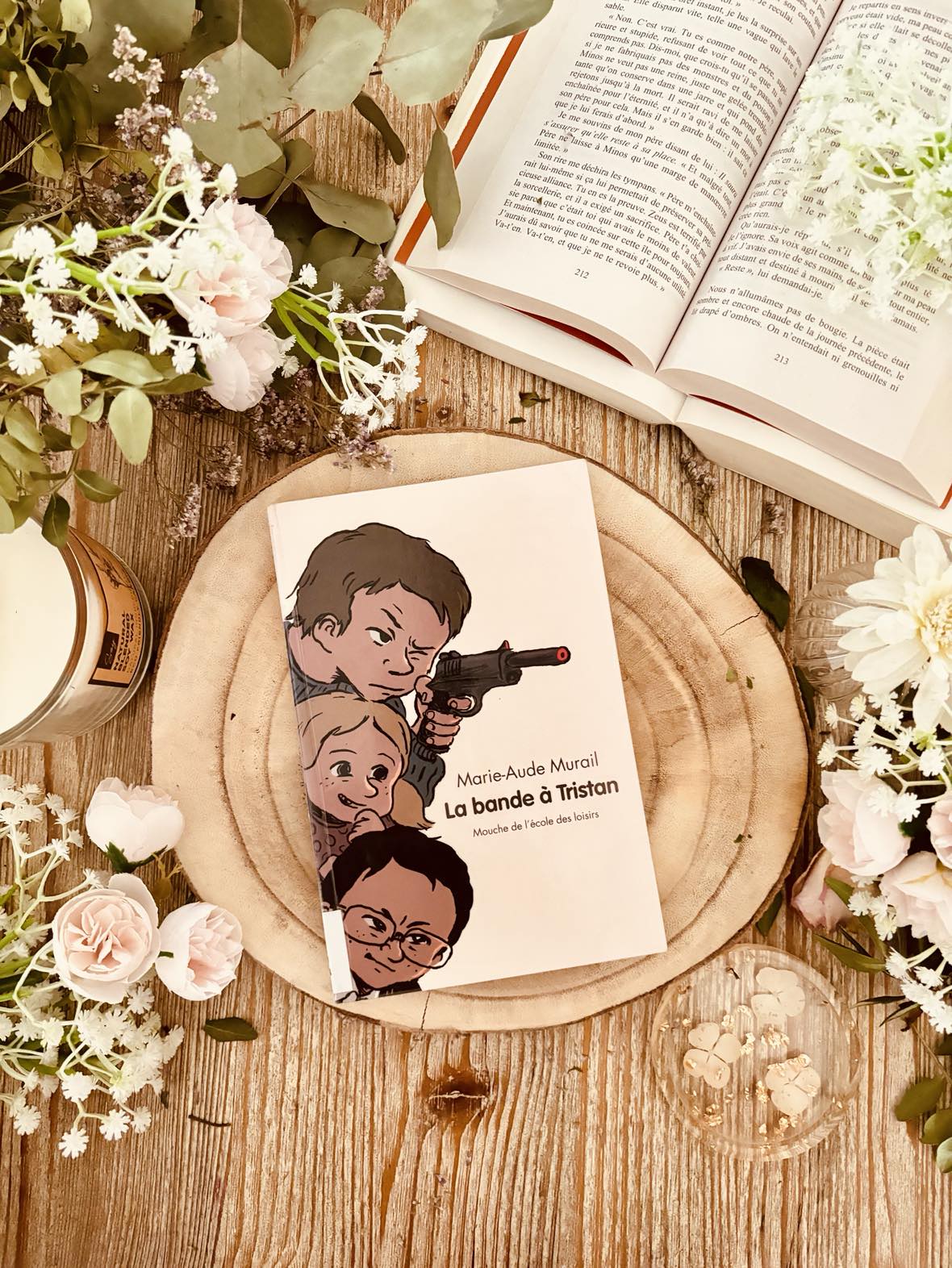" La bande à Tristan " de Marie-Aude Murail