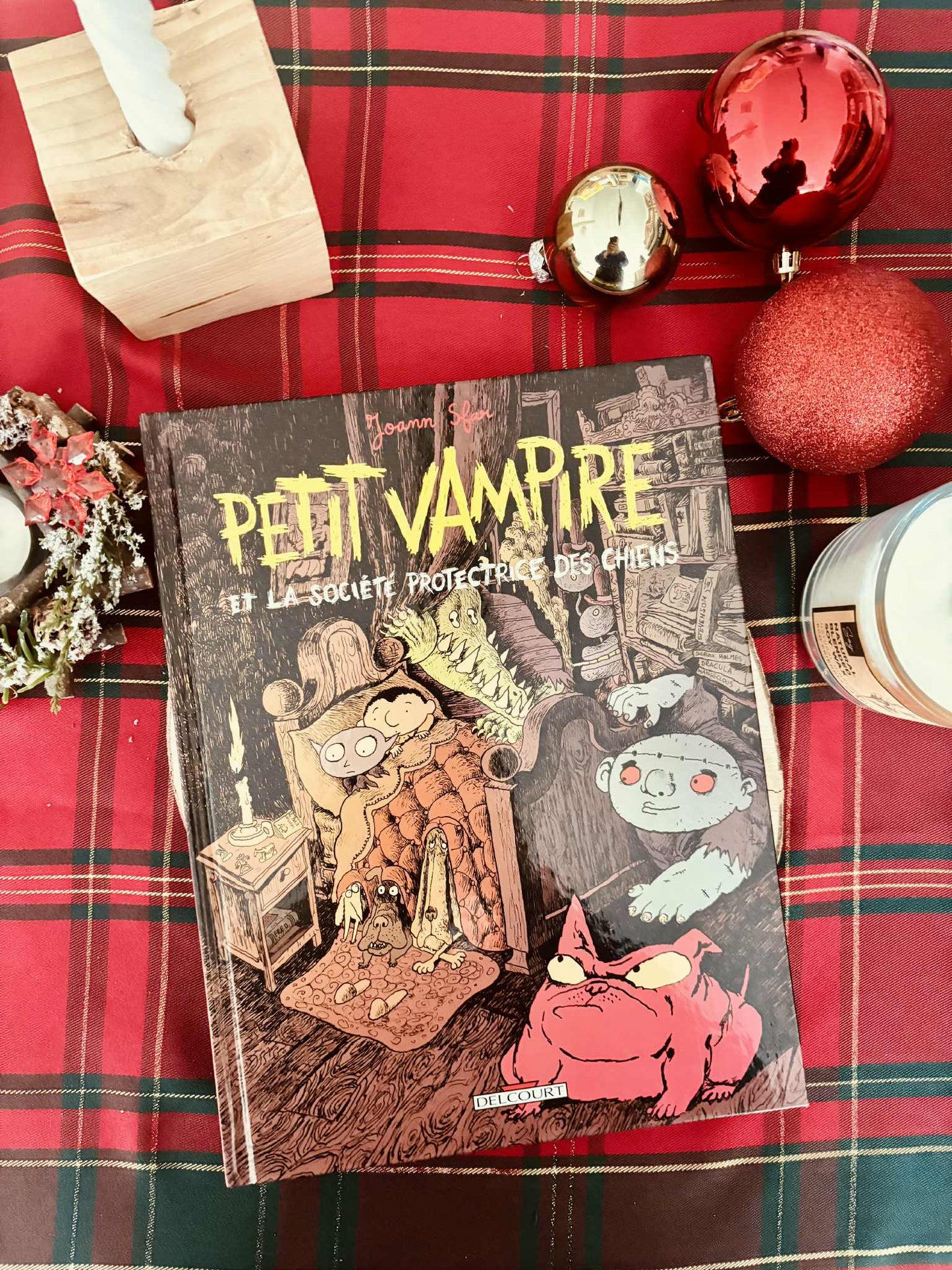 " Petit vampire et la société protectrice des chiens" de Joann Sfar