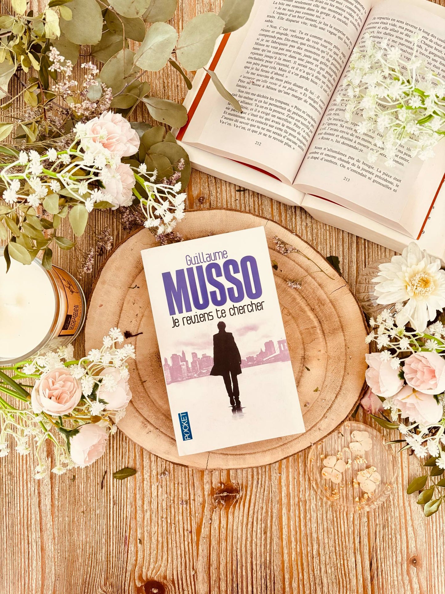 " Je reviens te chercher " de Guillaume Musso