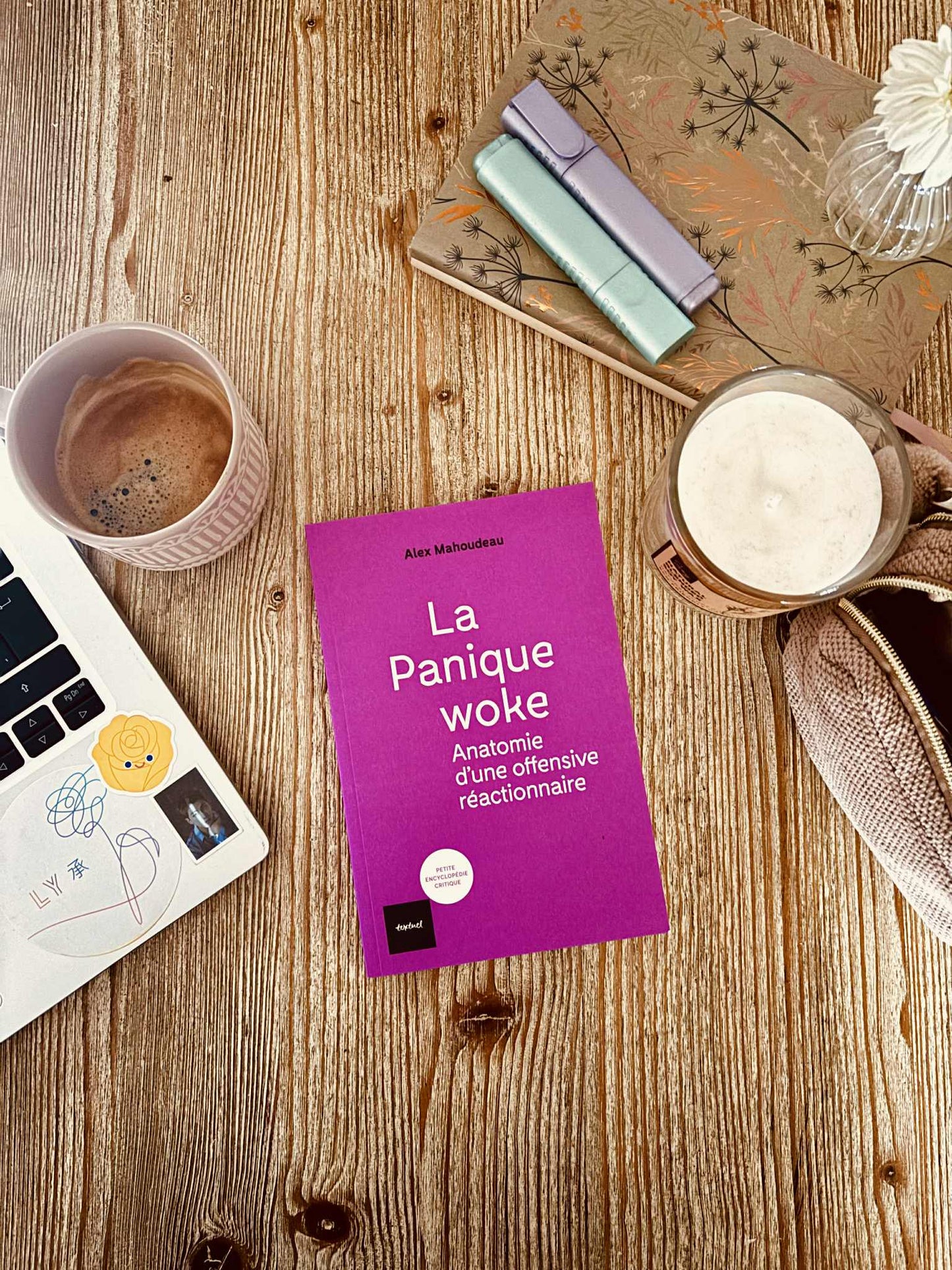 "La Panique woke - Anatomie d'une offensive réactionnaire" d'Alex Mahoudeau