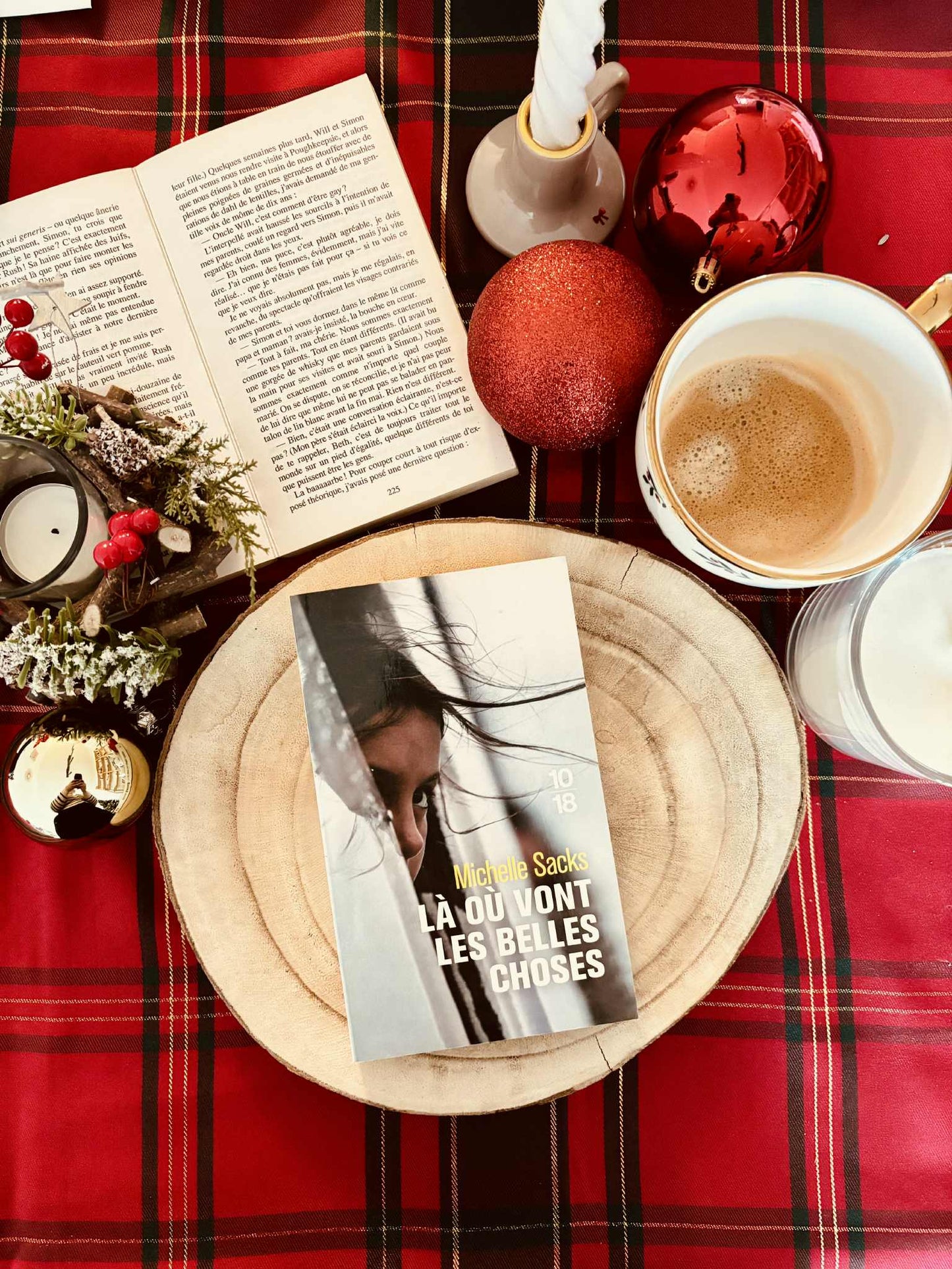 " Là où vont les belles choses" de Michelle Sacks