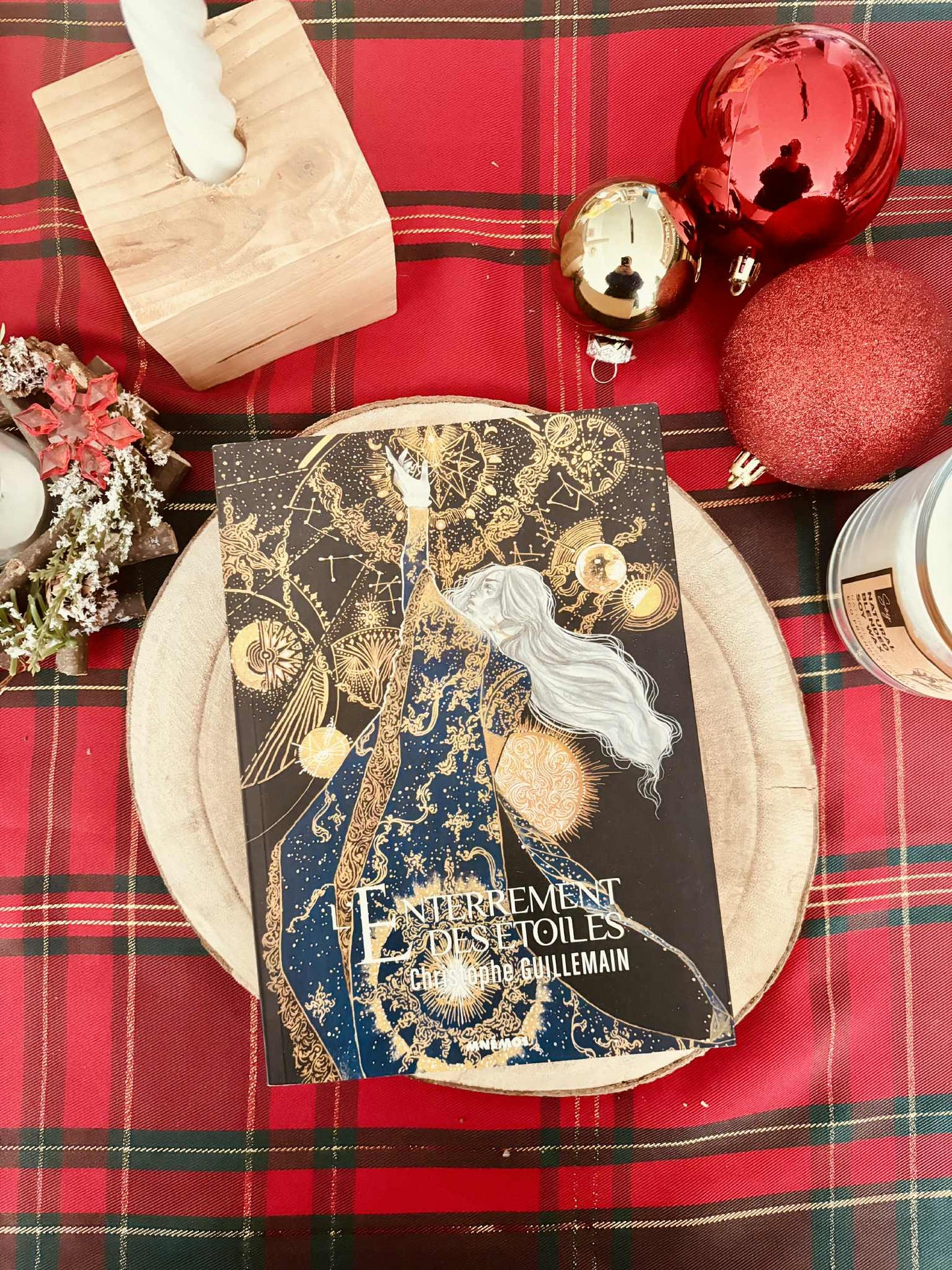 " L'enterrement des étoiles" de Christophe Guillemain