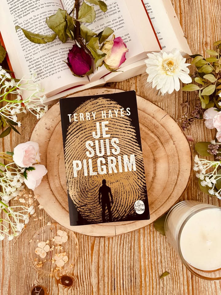 "Je suis Pilgrim" de Terry Hayes