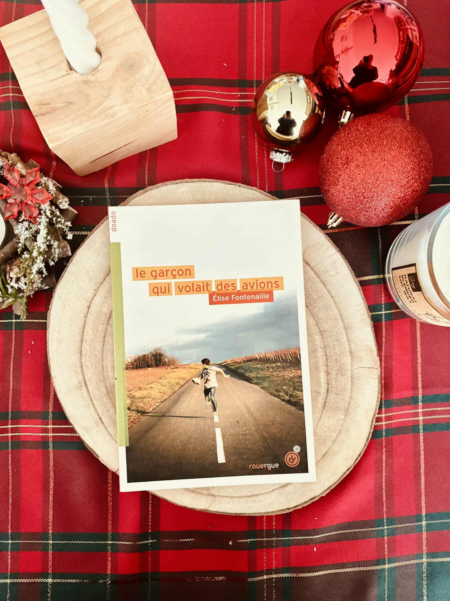 "Le garçon qui volait des avions" d'Elise Fontenaille