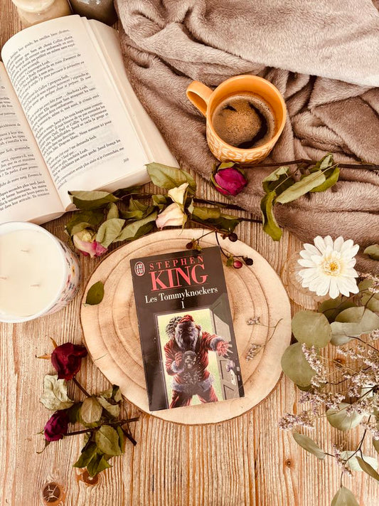 " Les Tommyknockers 1" de Stephen King