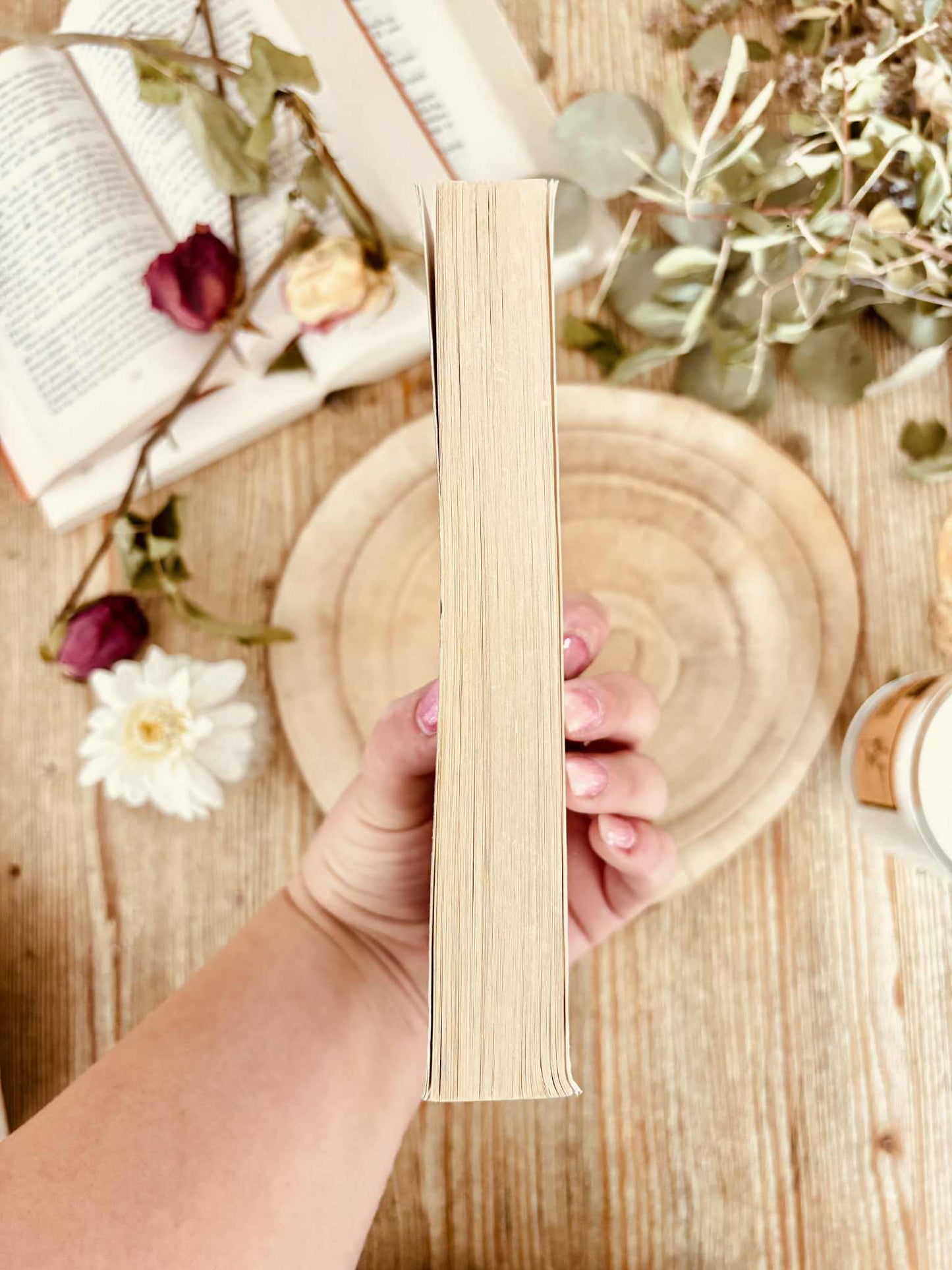 " La dictature" de Carl Schmitt