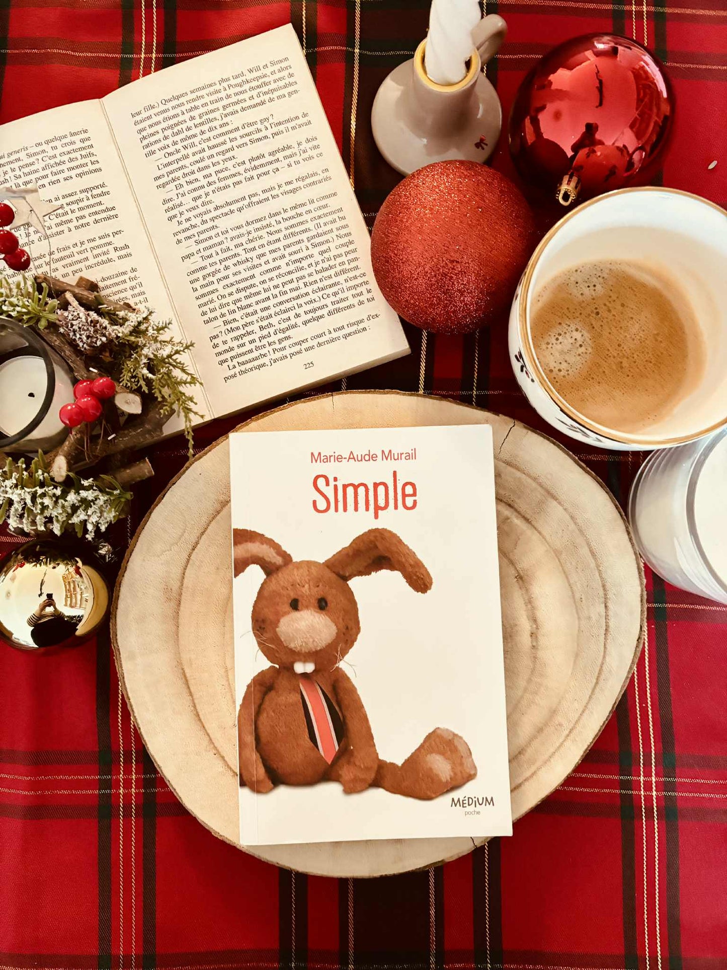 "Simple" de Marie-Aude Murail