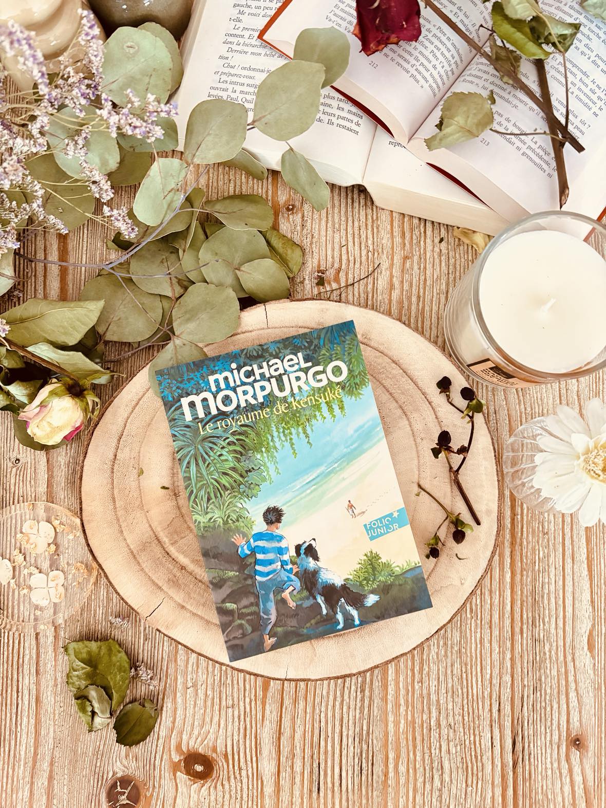 " Le royaume de Kensuké " de Michael Morpurgo