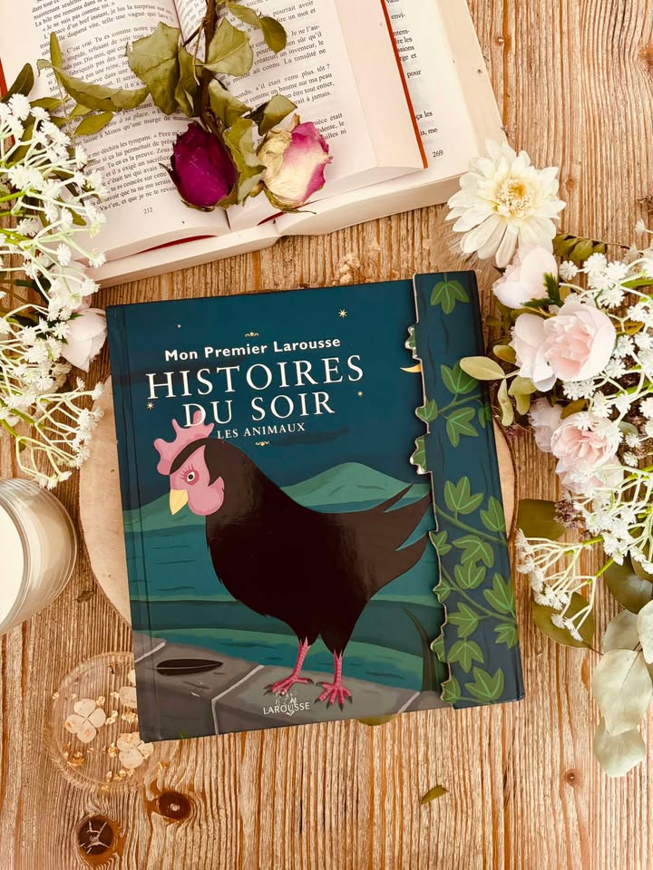 " Histoires du soir - Les animaux " - Mon premier Larousse