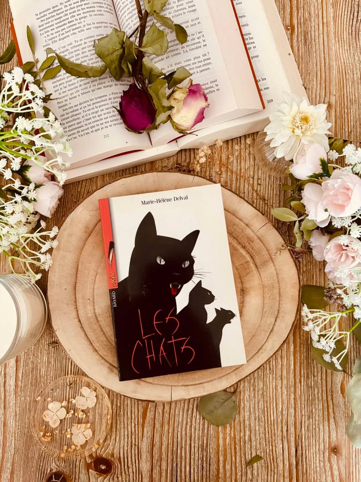 " Les chats " de Marie-Hélène Delval