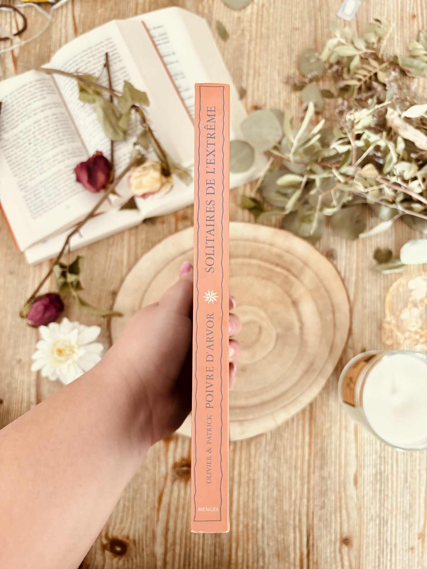 "Solitaires de l'extrême" d'Olivier et Patrick Poivre d'Arvor