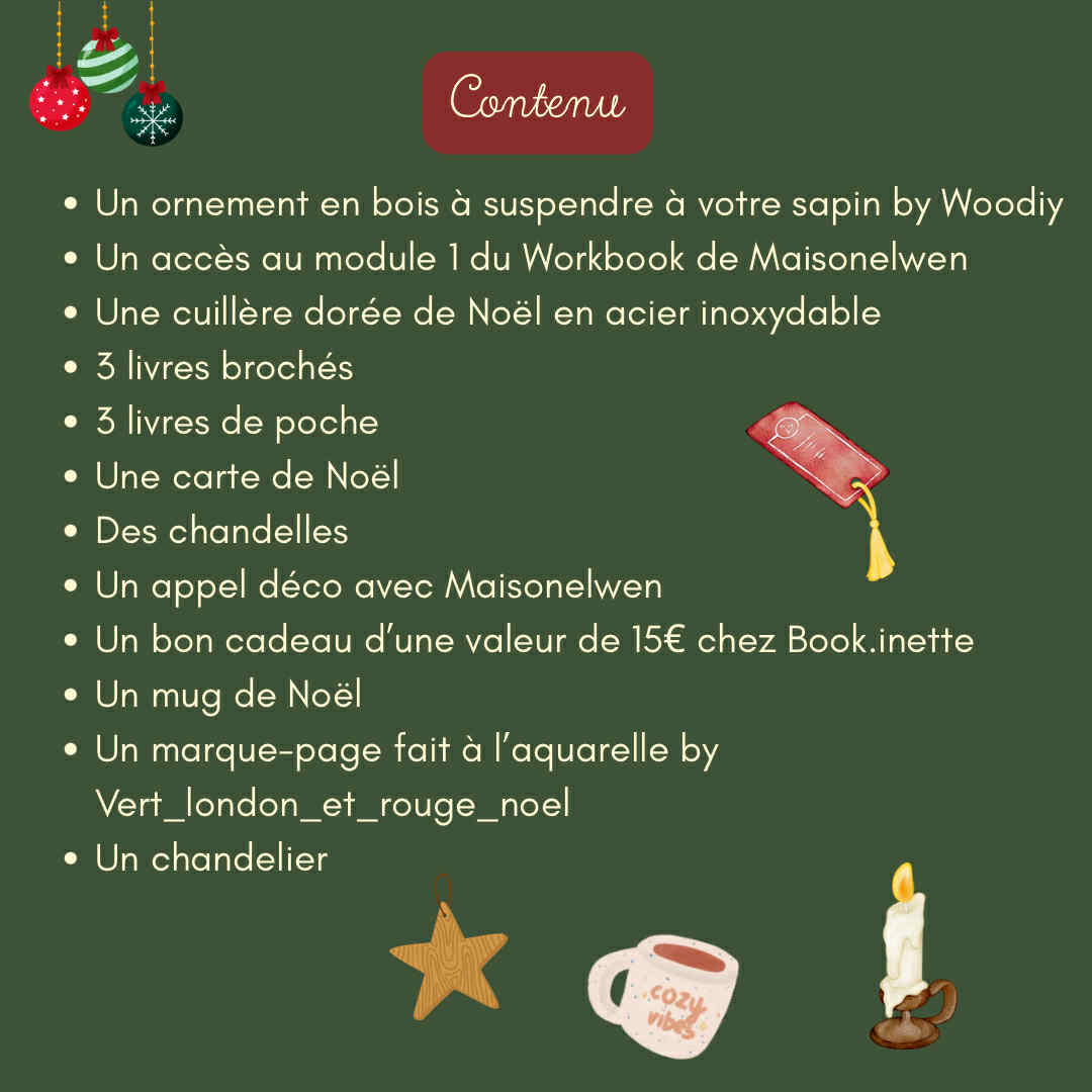 " Calendrier de l'Avent Book.inetteXMaisonelwen" - 12 cases -  Edition Limitée