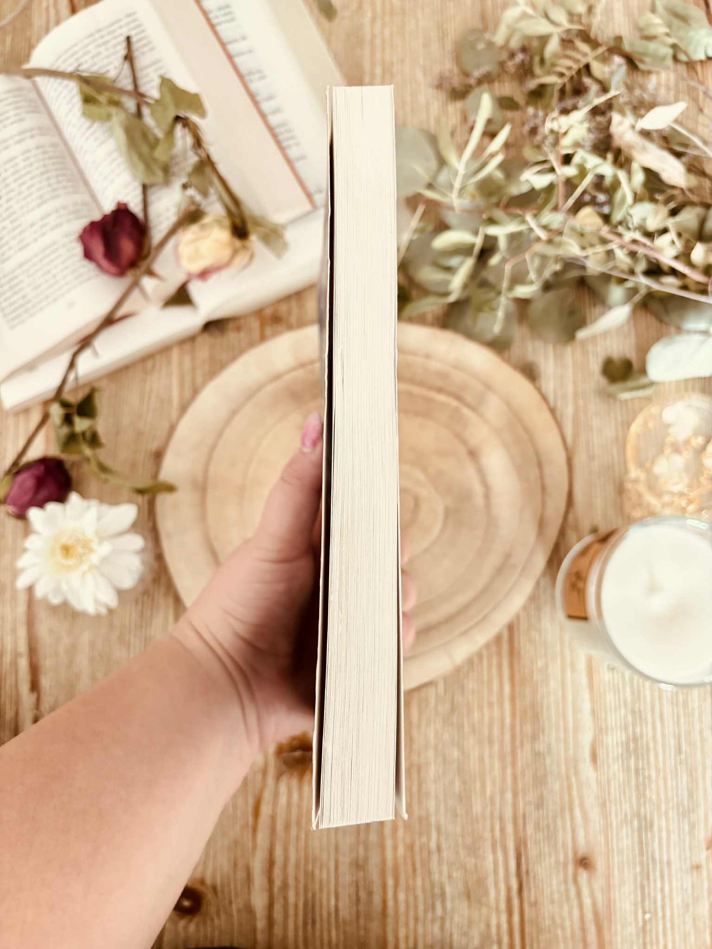 "Solitaires de l'extrême" d'Olivier et Patrick Poivre d'Arvor