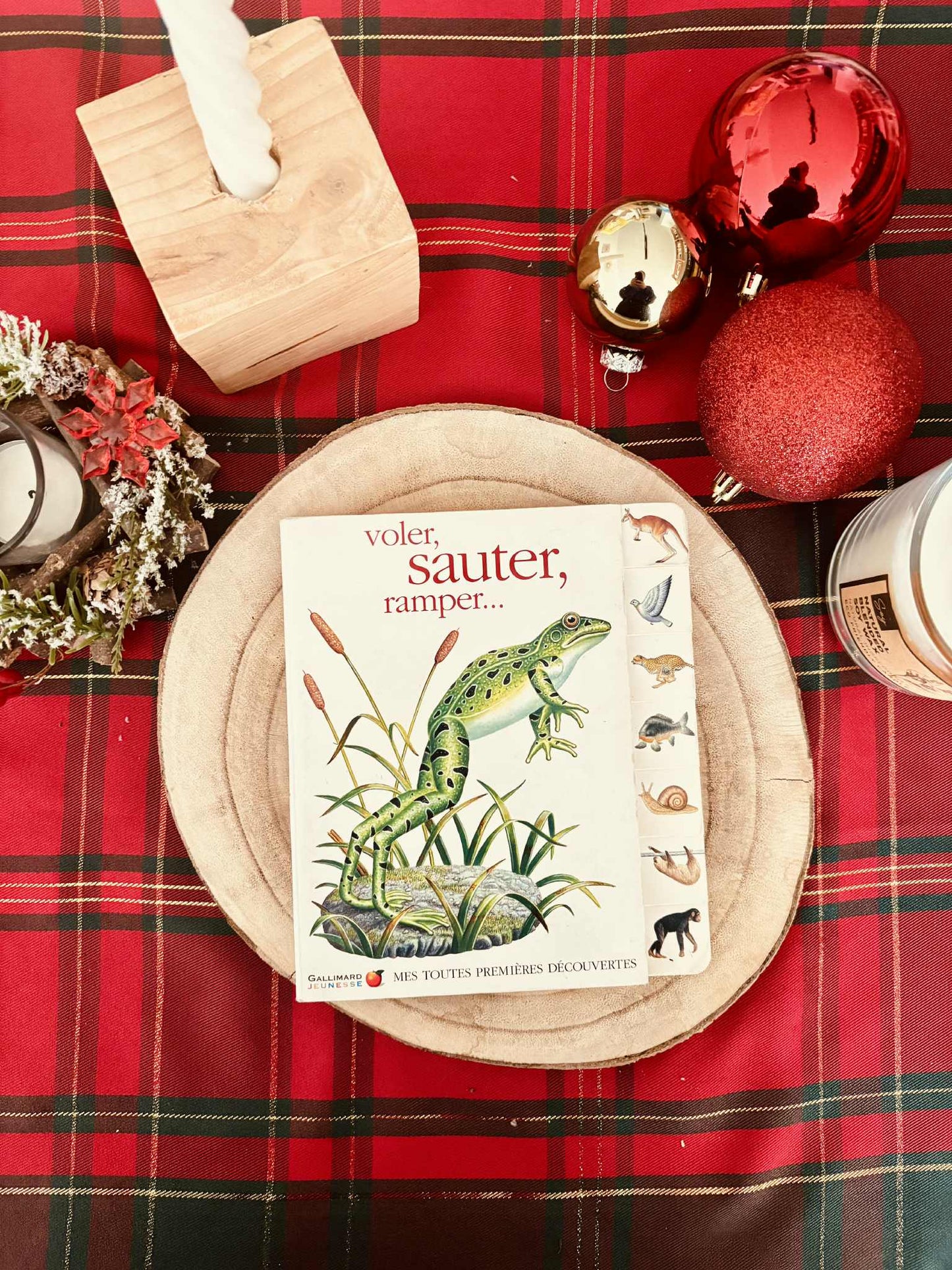 " Voler, sauter, ramper..." - Mes toutes premières découvertes