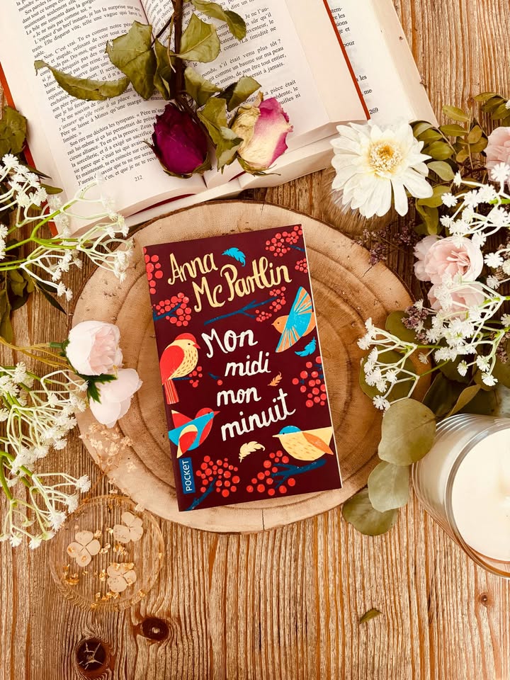 "Mon midi mon minuit" d'Anna McPartlin