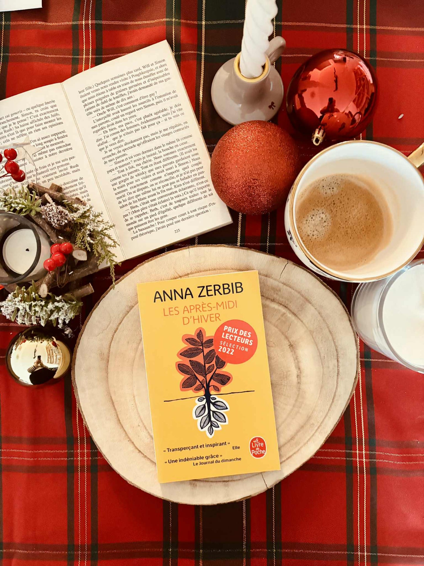 "Les après-midis d'hiver" d'Anna Zerbib